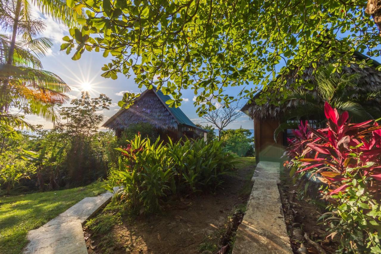 Punta Marenco Lodge Drakes Bay Exterior foto